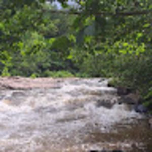 Meet your Posher, Alan